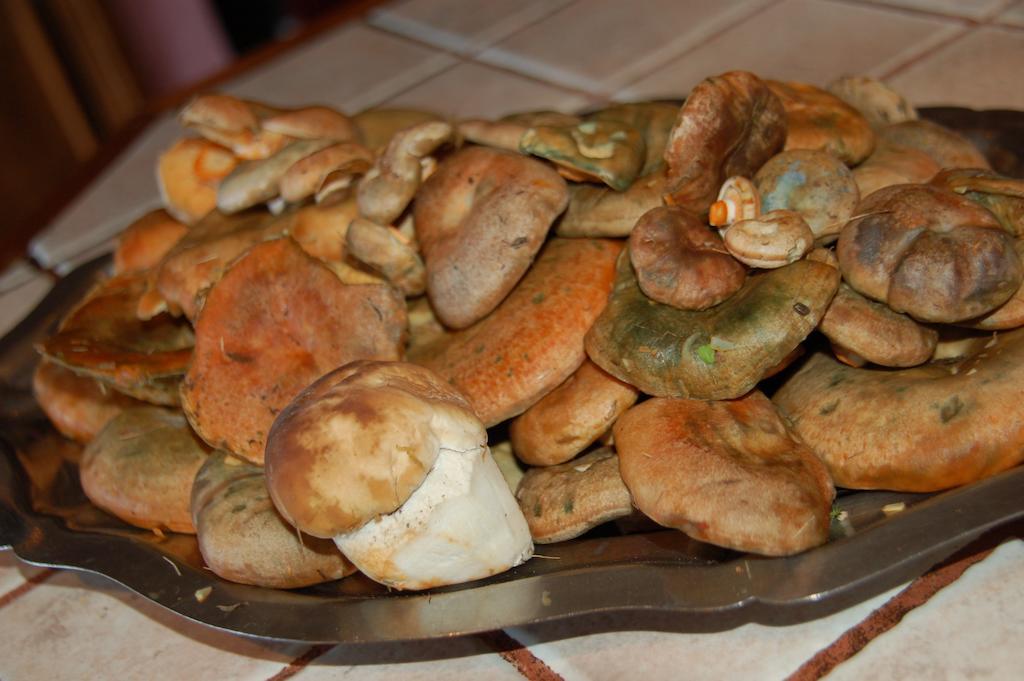 Casa Rural Restaurant Borda Patxeta カニーリョ エクステリア 写真